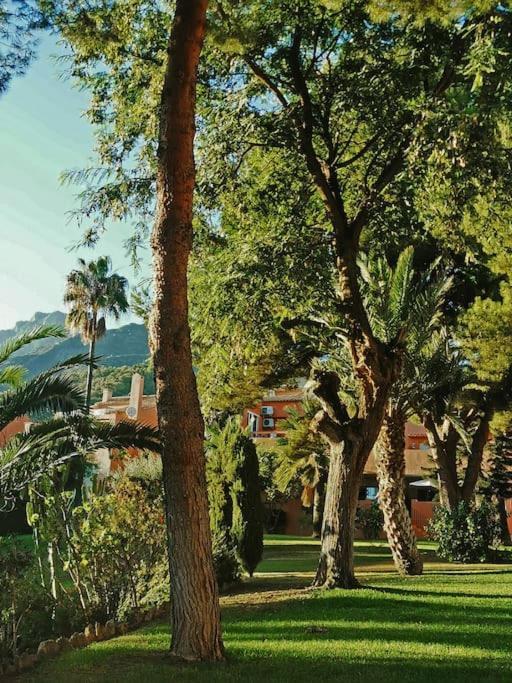 Appartamento Sea Views Penthouse In Placid Natural Setting